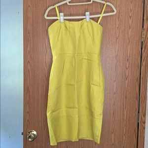 Strapless JCREW dress